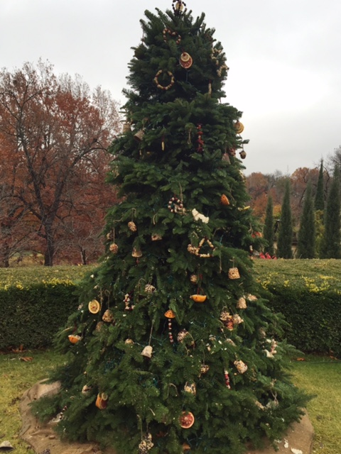 christmas tree for birds philbrook 2015